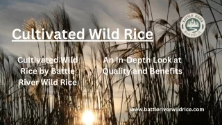 Premium Cultivated Wild Rice – Battle River Wild Rice