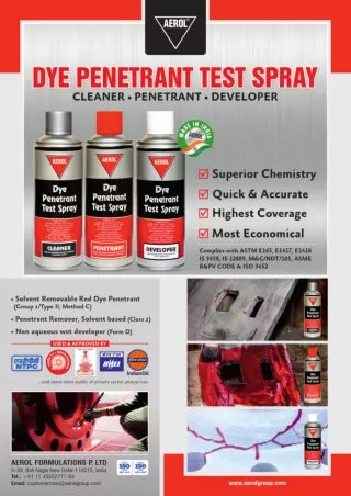 DPT Magnivue -Flyer -