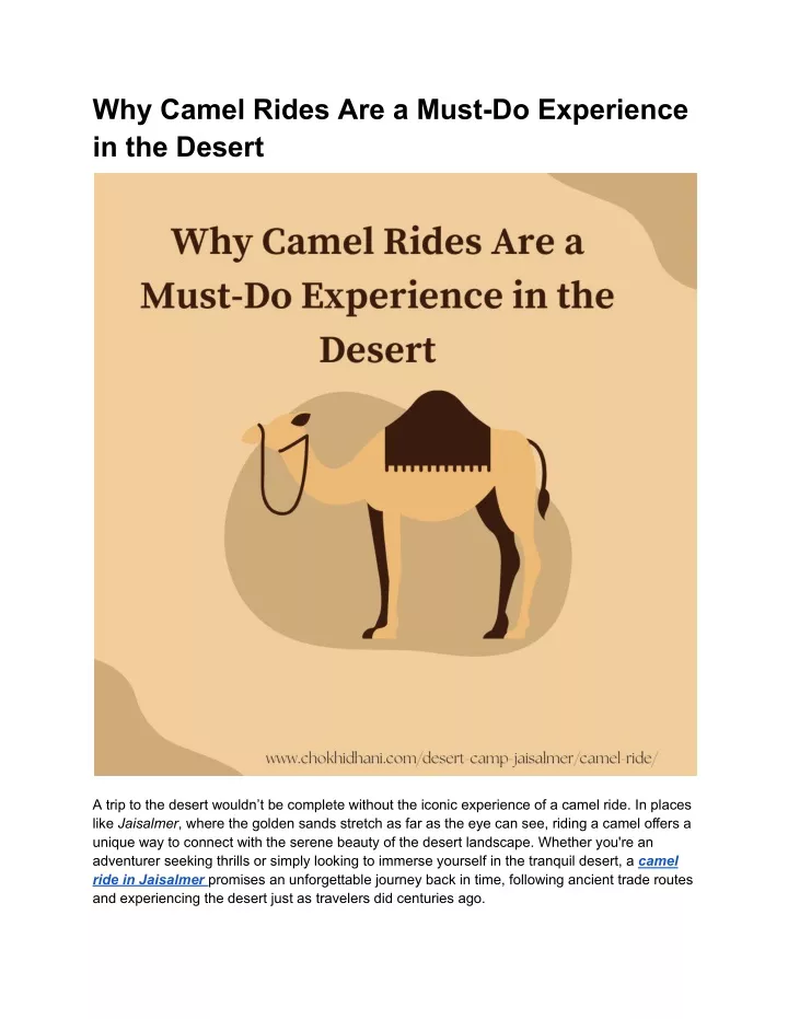 why camel rides are a must do experience