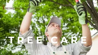 tree care