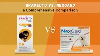 Bravecto vs. NexGard A Comprehensive Comparison