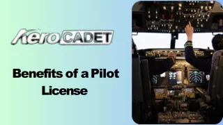 Benefits of a Pilot License