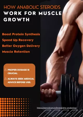 Understanding How Anabolic Steroids Boost Muscle Growth