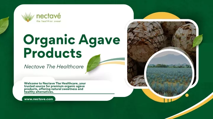 organic agave products nectave the healthcare