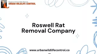 Get Quick & Reliable Rat Removal Company in Roswell