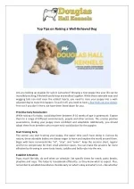 Raise a Well-Behaved Dog | Tips for Puppy Owners | DHK - slide 1