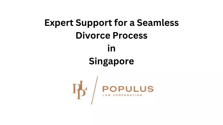 expert support for a seamless divorce process