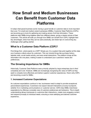 How Small and Medium Businesses Can Benefit from Customer Data Platforms