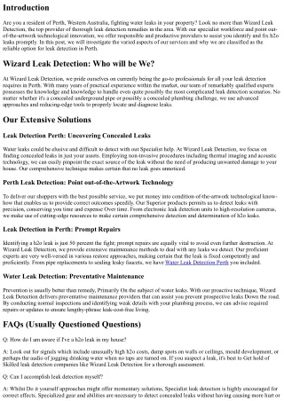 Wizard Leak Detection: In depth Options for Perth People