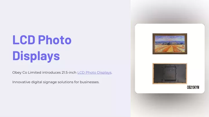 lcd photo displays