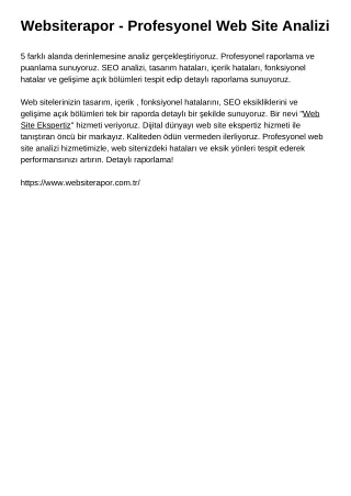 Websiterapor - Profesyonel Web Site Analizi