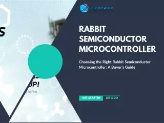 Choosing the Right Rabbit Semiconductor Microcontroller: A Buyer’s Guide