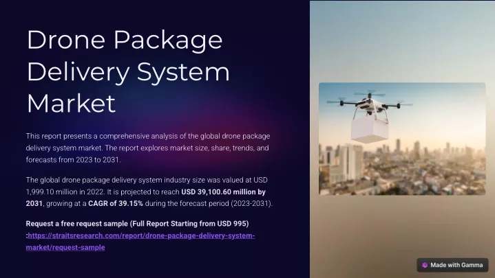 drone package delivery system market