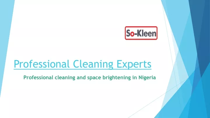 professional cleaning experts