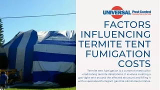 Professional Termite Tent Fumigation in Ormond Beach