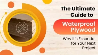 The Ultimate Guide to Waterproof Plywood Why It’s Essential for Your Project