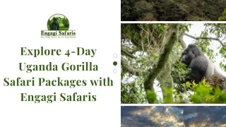 Explore 4-Day Uganda Gorilla Safari Packages with Engagi Safaris