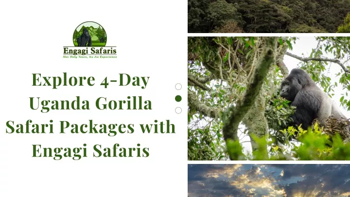 explore 4 day uganda gorilla safari packages with