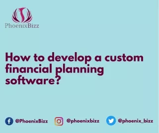 How to develop a custom financial planning software?