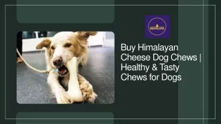 Buy Himalayan Cheese Dog Chews | Healthy & Tasty Chews for Dogs