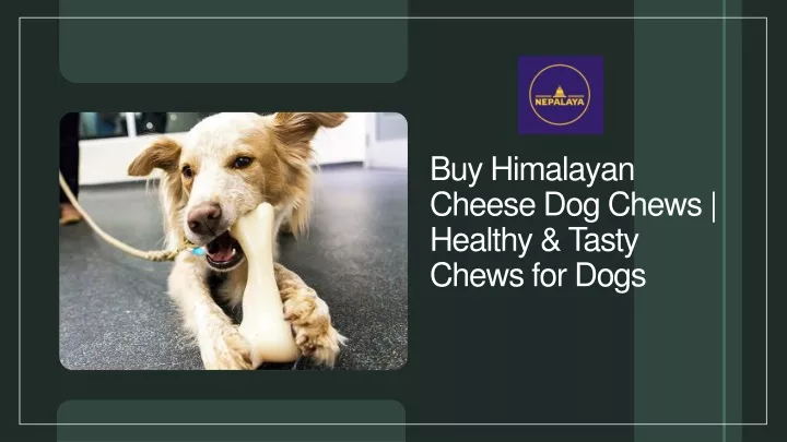 buy himalayan cheese dog chews healthy tasty chews for dogs