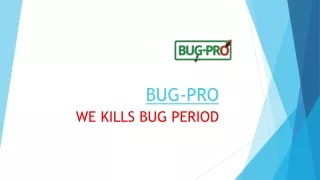 Top Pest Control Firm in Lagos: Expert Solutions for a Pest-Free Home & Business