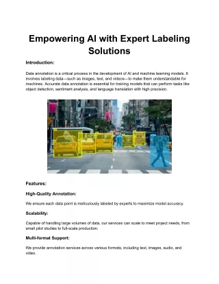 Empowering AI with Expert Labeling Solutions