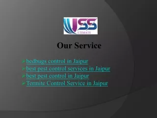 Safe and Best pest control services in Jaipur