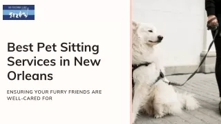 Best Pet Sitting Services in New Orleans