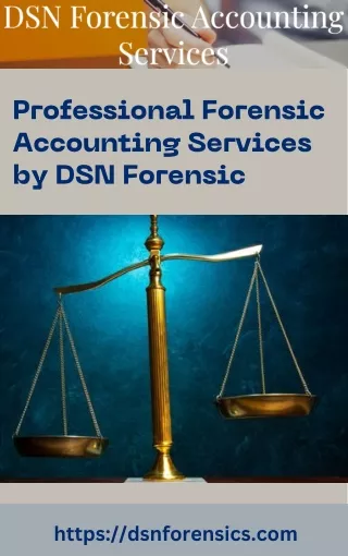 Professional Forensic Accounting Services by DSN Forensic