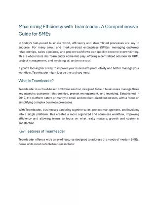 maximizing efficiency with teamleader