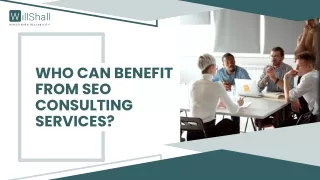 Who Can Benefit from SEO Consulting Services?