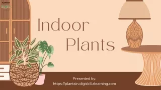 Indoor Plants PPT 1