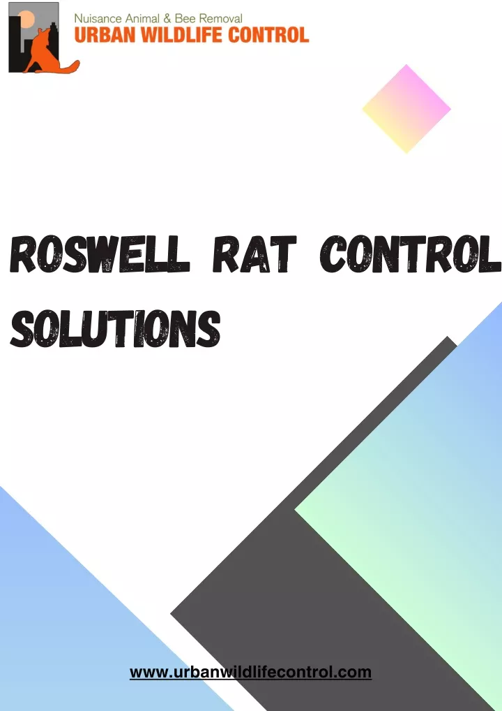 roswell rat control solutions