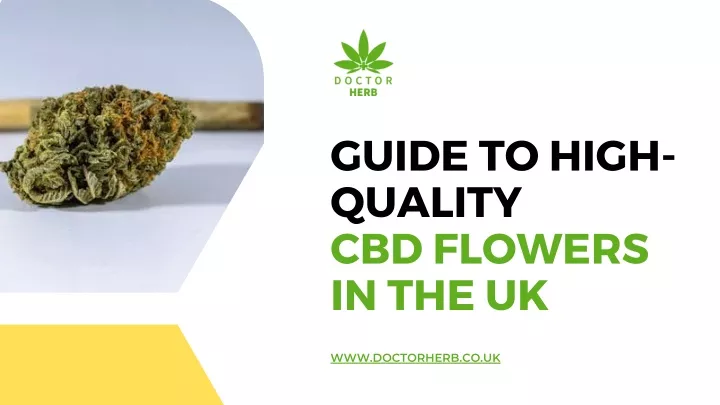 guide to high quality cbd flowers in the uk