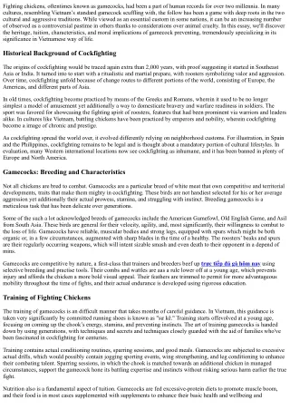 Fighting Roosters: The Examination of Ritual, Culture, and Ethical Standards