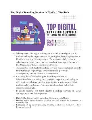top digital branding services in florida vise tech
