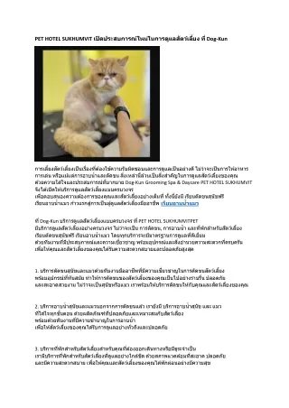 1 PET HOTEL SUKHUMVIT