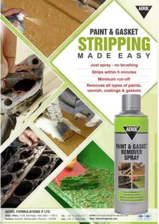Paint & gasket remover