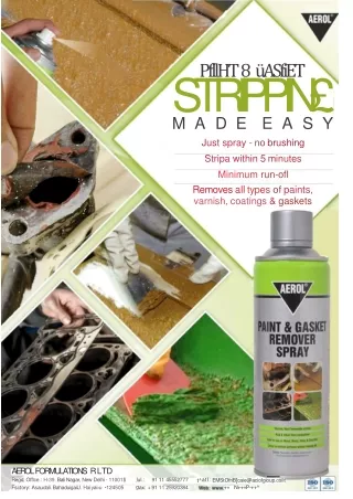 Paint & gasket remover