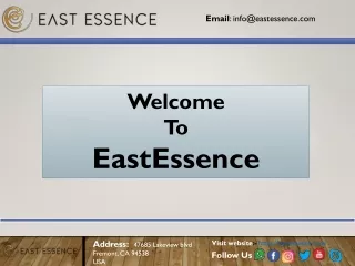 Explore Elegant Modesty: Abaya Online Shopping at EastEssence