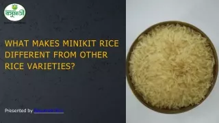 what makes minikit rice different from other rice varieties