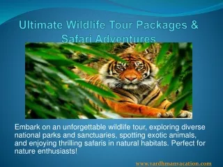 Ultimate Wildlife Tour Packages & Safari Adventures