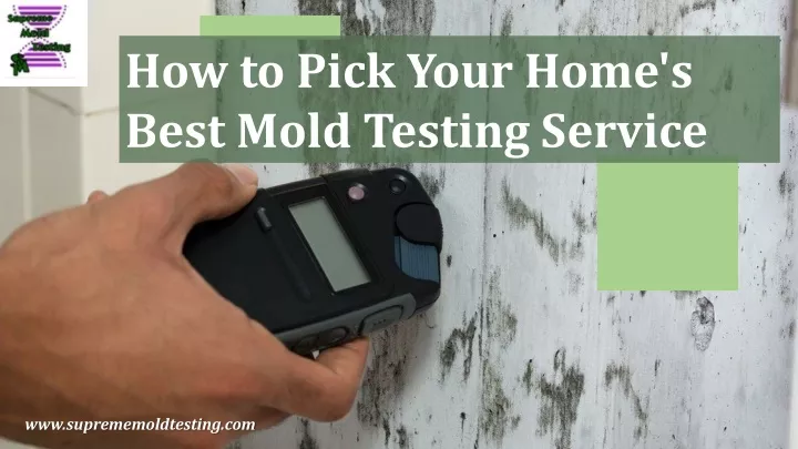 how to pick your home s best mold testing service