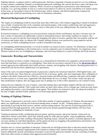 Clashing Fighters: An Analysis of Heritage, Culture, and Values