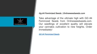 Gg #4 Feminized Seeds  Onlineweedseeds.com