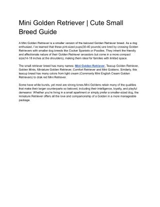 Mini Golden Retriever Cute Small Breed Guide
