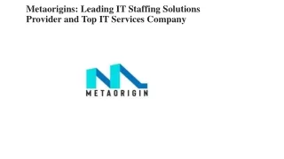 metaorigins leading it staffing solutions provider and top it services company