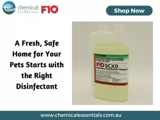 A Fresh, Safe Home for Your Pets Starts with the Right Disinfectant