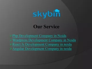 Expert WordPress Development Company in Noida | Skybin